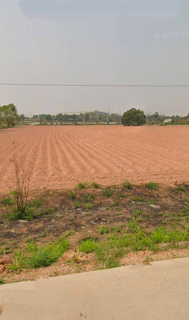 ที่ดินอำเภอขามทะเลสอจังหวัดนครราชสีมา ติดถนนวงแหวนรอบเมือง ทร.290  ขนาดที่ดิน 31-2-98ไร่  หน้ากว้างติดถนน 135ม. 4