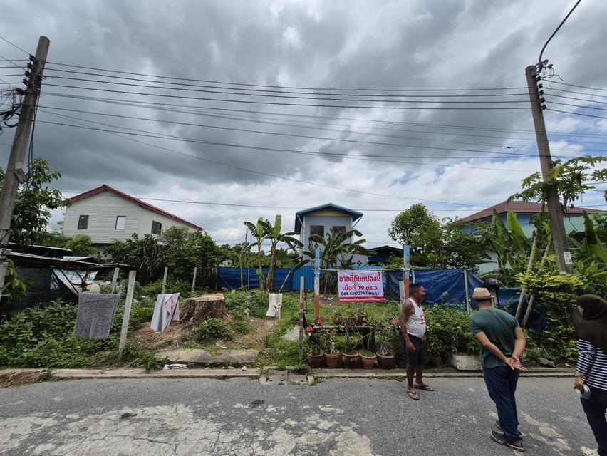 ขายที่ดิน พิกัดเคหะหนองจอก เนื้อที่ 39 ตรว 1