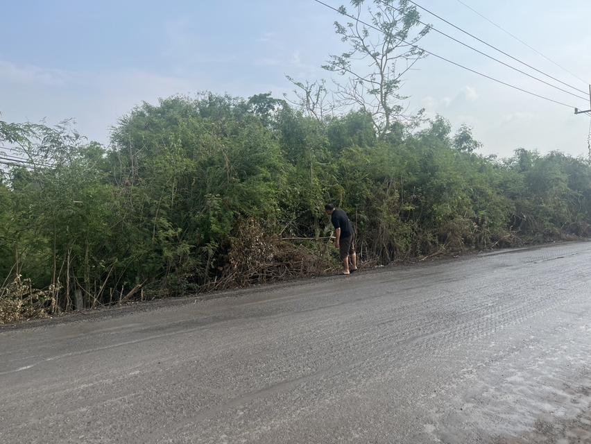 ขายที่ดินเปล่า 1 ไร่ ใกล้ตลาด อ.อุทัย 10