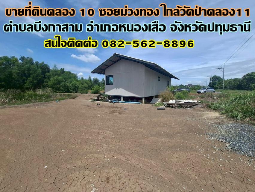 ขายที่ดินคลอง 10 ซอยม่วงทอง ใกล้วัดป่าคลอง11 หนองเสือ ปทุมธานี 1