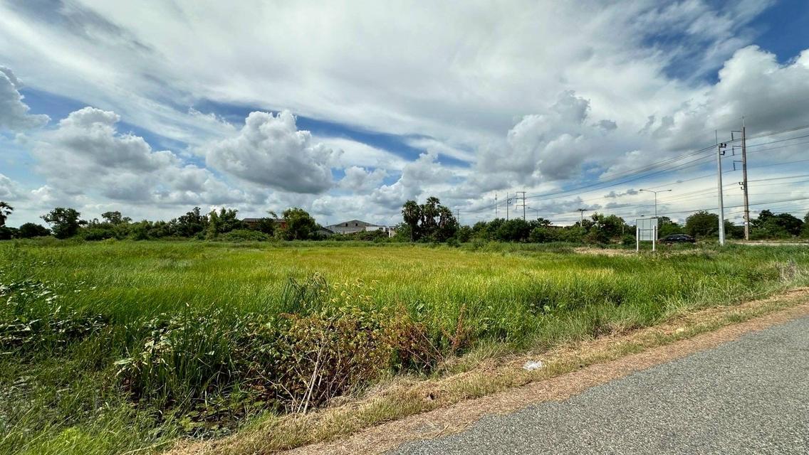 ขายที่ดินเปล่า เนื้อที่ 55-3-36 ไร่ ถนนศุขประยูร ตำบลหนองตีนนก อำเภอบ้านโพธิ์ จังหวัดฉะเชิงเทรา 6