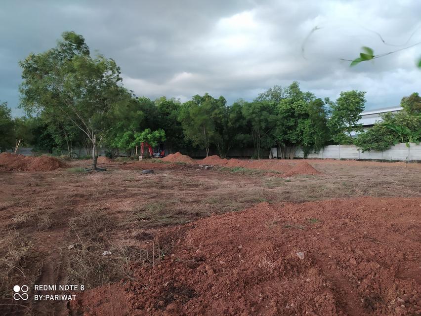 ขาย ที่ดิน 1 ไร่  ถมแล้ว ซอยจตุโชติ 4 แขวงออเงิน เขตสายไหม ออเงินลงด่านจตุโชติ ทางด่วนฉลองรัช    *** เดินทางสะดวกเข้าออกได้หลายเส้นทาง*** 1