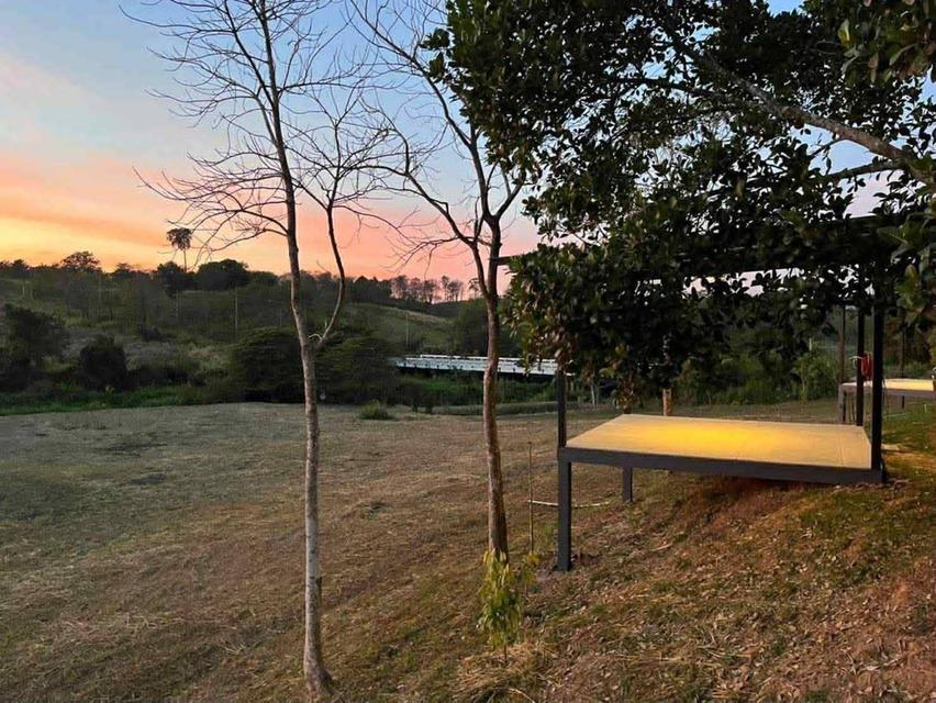 ขายบ้าพร้อมที่ดินอ4ไร่อำเภอวังน้ำเขียวจังหวัดนครราชสีมา 6