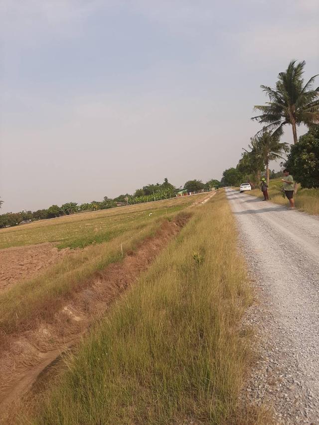 ที่ดินเพื่อทำการเกษตรกรรม 1