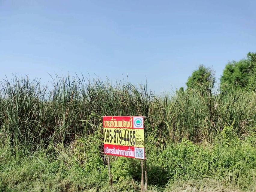 Vายด่วนnที่ดินรังสิต 1 ไร่ ติดถนนคอนกรีตสาธารณะ ซอย รังสิต-นครนายก 17 อ.ธัญบุรี จ.ปทุมธานี 8