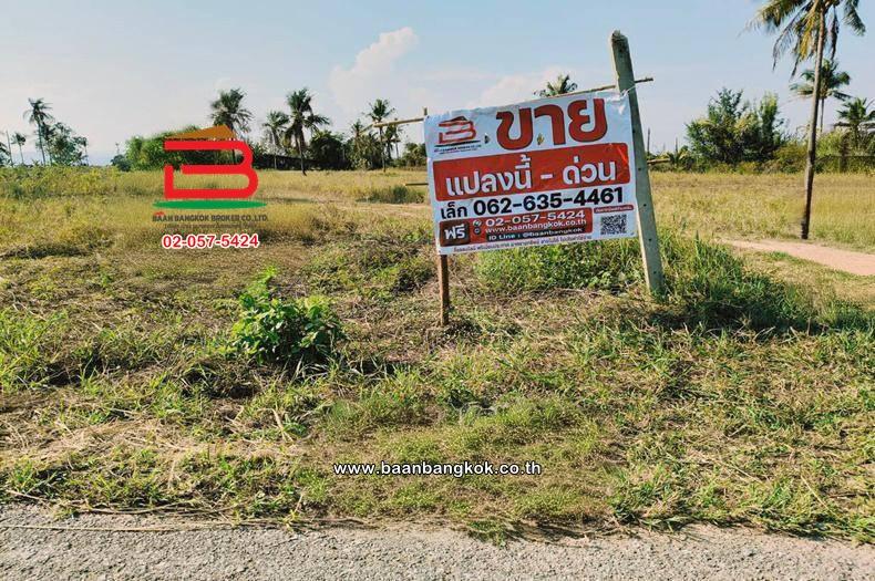 ที่ดินเปล่า เนื้อที่ 33-0-38 ไร่ ซอยสันตินคร ใกล้หมู่บ้านศิริวรรณ ถนนเพชรเกษม ตำบลอ่าวน้อย อำเภอเมืองประจวบคีรีขันธ์ ประจวบคีรีขันธ์ 2