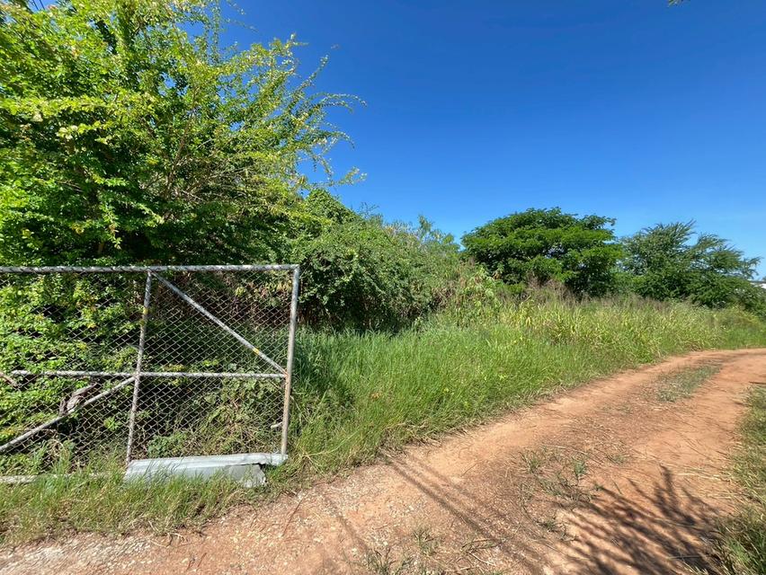 ที่ดินขอนแก่น ใกล้มหาวิทยาลัยขอนแก่น ใกล้เซ็นทรัลใหม่ ทำเลดี 5