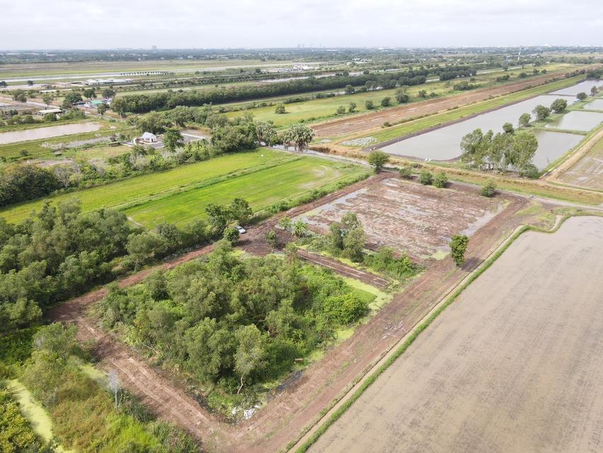 ที่ดินคลอง 5 คลองหลวง ทำเลดี ใกล้มอเตอร์เวย์! 8