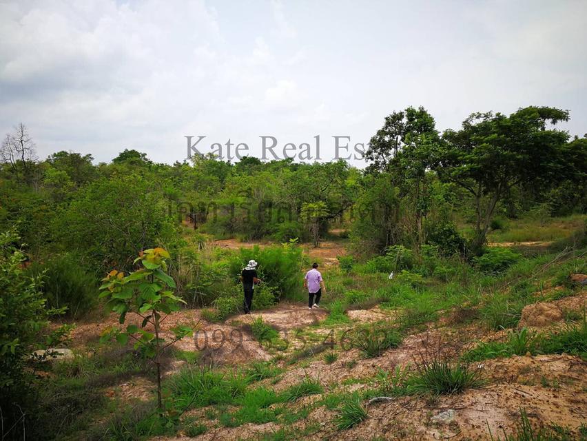 ขายที่ดินสวยติดแม่น้ำมูลทั้งผืน อากาศเย็นสบายทั้งปีหน้าที่ดินเป็นถนนคอนกรีตเทใหม่เอี่ยม   อำเภอพิบูลมังสาหาร จังหวัดอุบลราชธานี  15