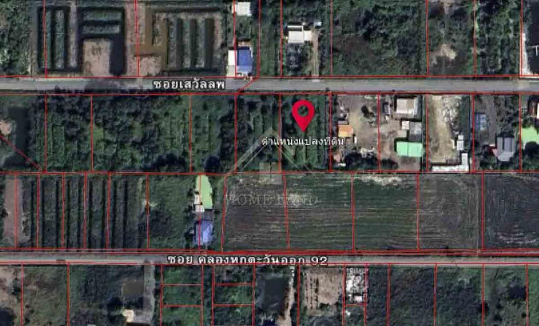 ที่ดินเปล่า 1 ไร่ ซอย เสวัลลพ คลองหก ปทุมธานี 3