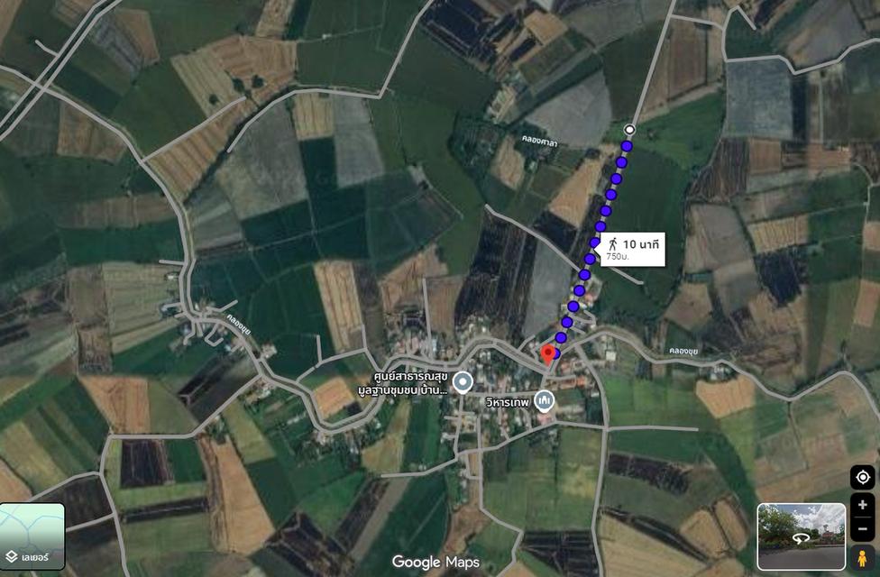 ที่ดินสวย 2 ไร่ 3 งาน สำหรับปลูกบ้านสวน มีไฟฟ้า ประปา ถนนคอนกรีต 9