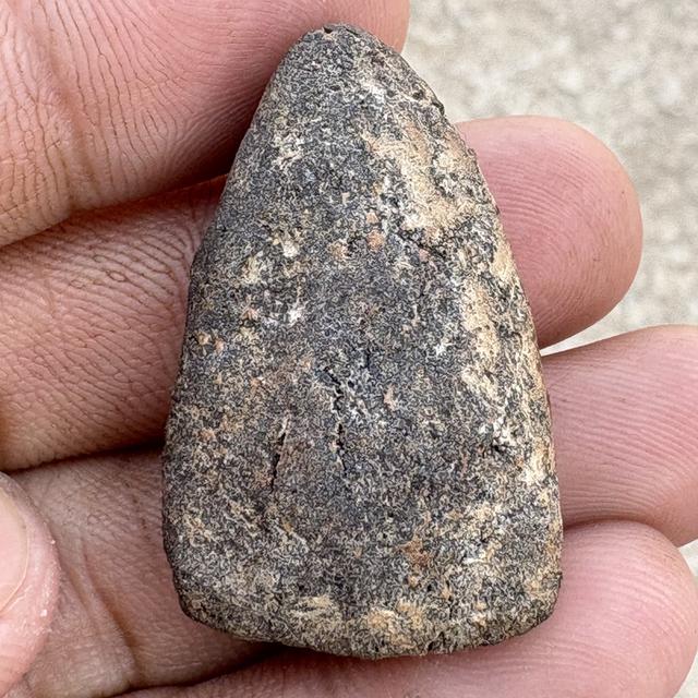 หลวงปู่ทวด วัดช้างให้ เนื้อว่าน ปี2497 รูปที่ 2