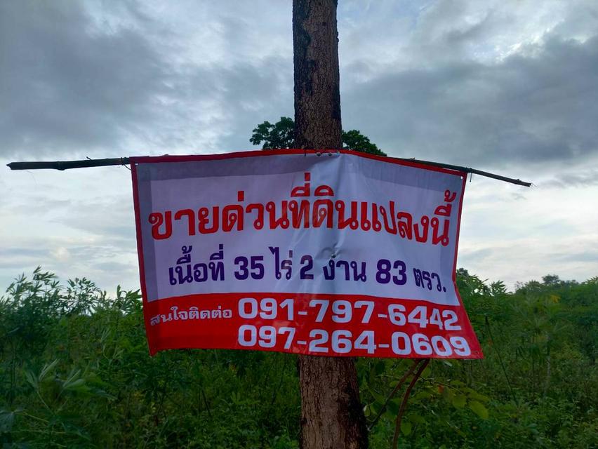 ที่ดิน จำนวน 35 ไร่ 2 งาน อำเภอ กระนวน จังหวัดขอนแก่น 4