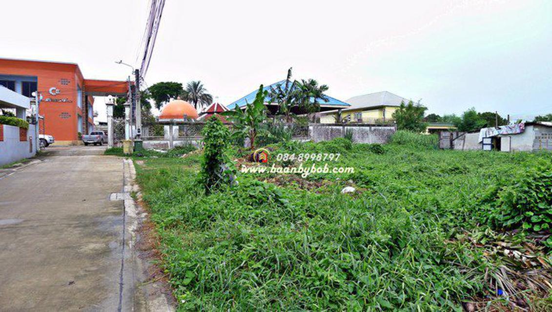 ขายที่ดิน พุทธมณฑล สาย1 272 ตร.วา 6