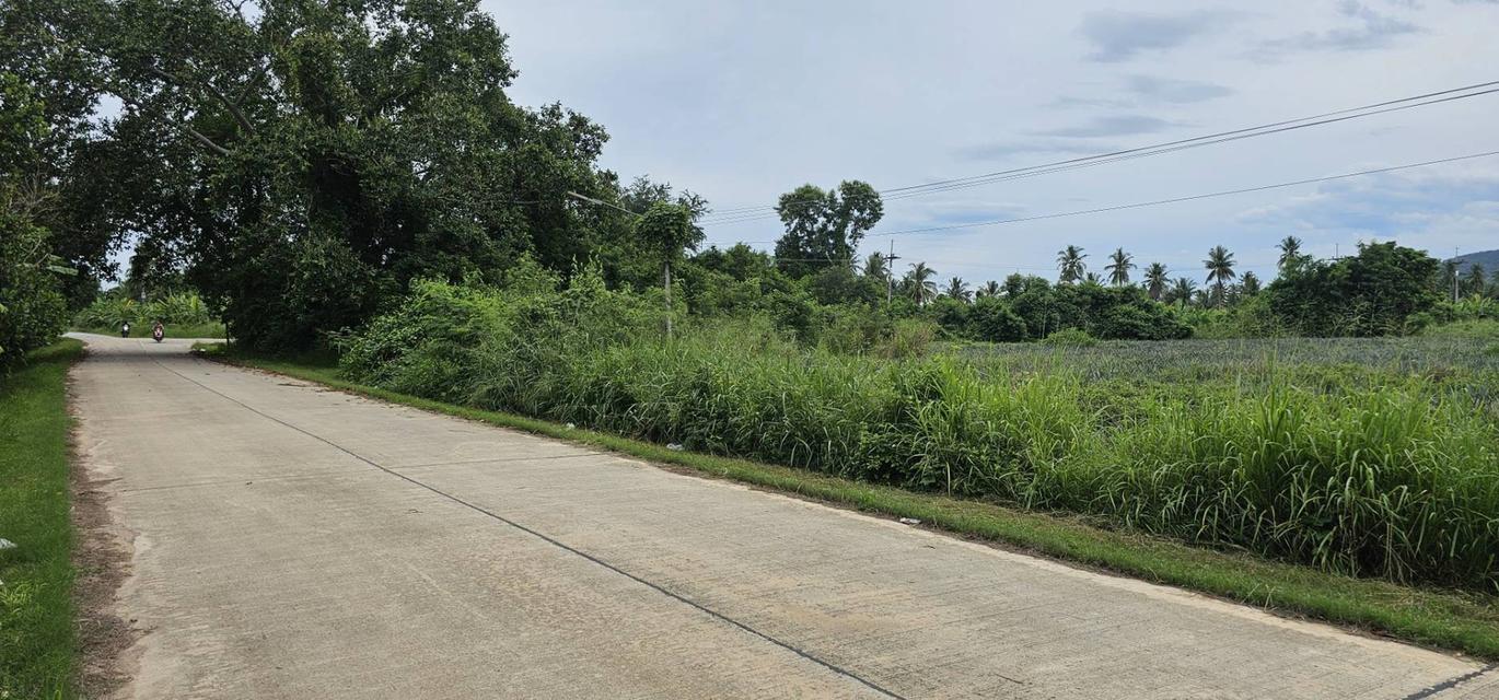 ที่ดิน ปราณบุรี ประจวบคีรีขันธ์ 4