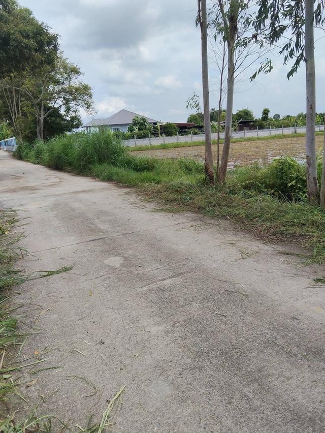 ที่ดิน 7 ไร่ บ้านนา นครนายก 5