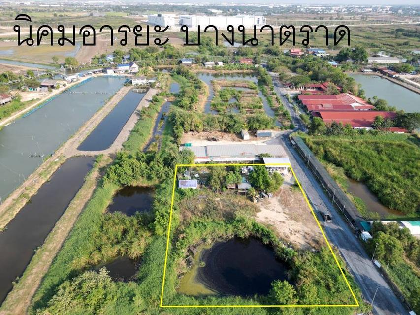 ที่ดินเปล่าสีม่วงต.บ้านระกาศอ.บางบ่อ 6