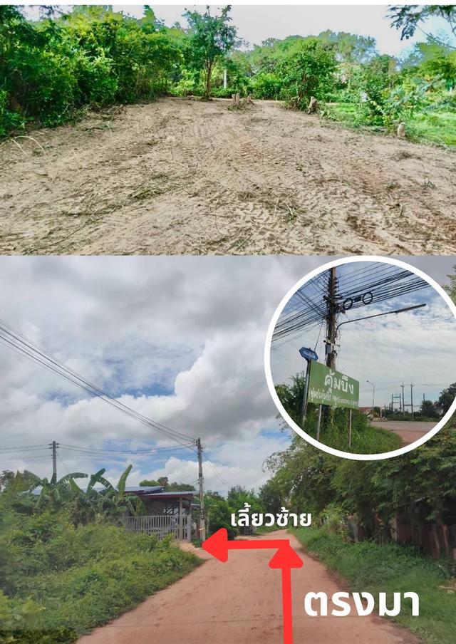 ขายที่ดินเปล่า ขนาด 100 ตารางวา 5