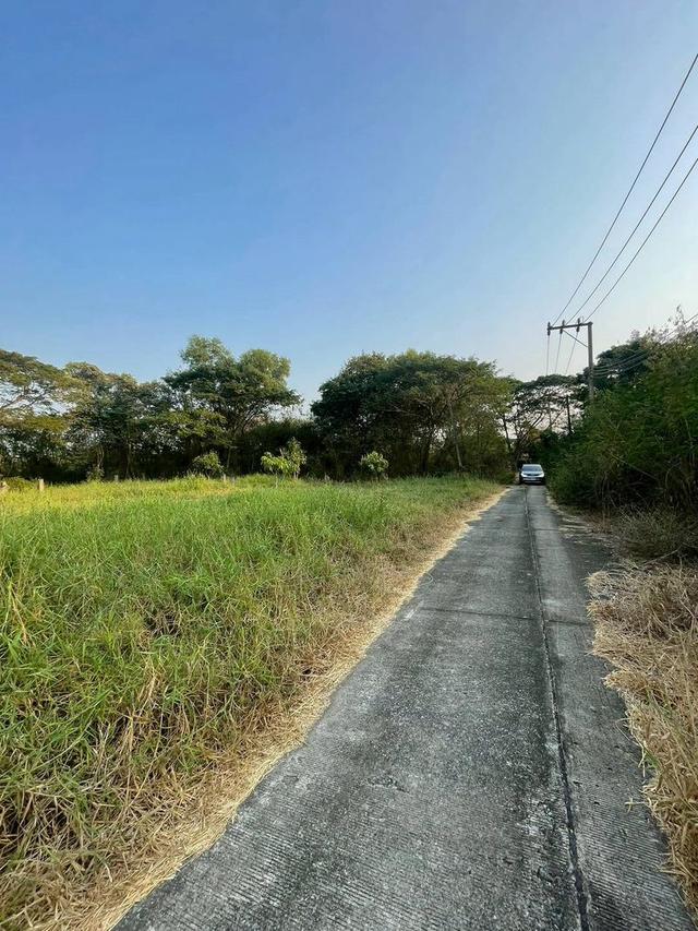 📍🏌️ ทำเลพิเศษ อยู่ในหมู่บ้านมีสนามกอล์ฟ ใกล้รถไฟฟ้าสายสีชมพู 🏌️📍 ที่ดินเปล่า เนื้อที่ 368 ตร.ว. หมู่บ้านกฤษดานคร 25 4
