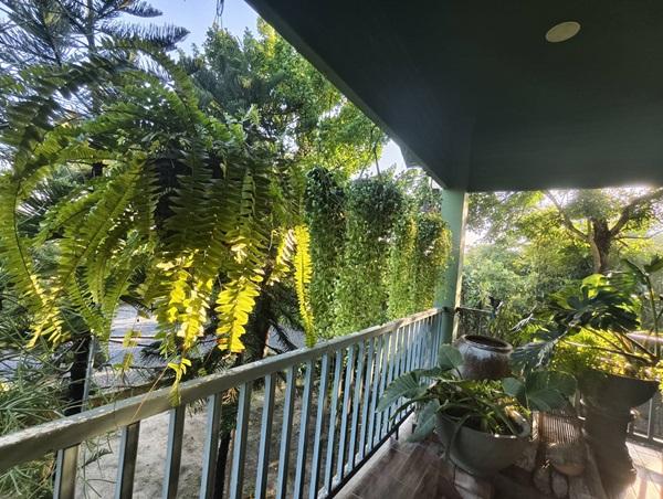 ขายบ้านสวน พร้อมที่ดิน รวม 3 ไร่ บึงกาสาม อ.หนองเสือ จ.ปทุมธานี น้ำไม่ท่วม เจ้าของขายเอง โทร.086-7777215 11