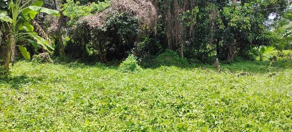 ที่ดินพร้อมบ้าน 2025 2