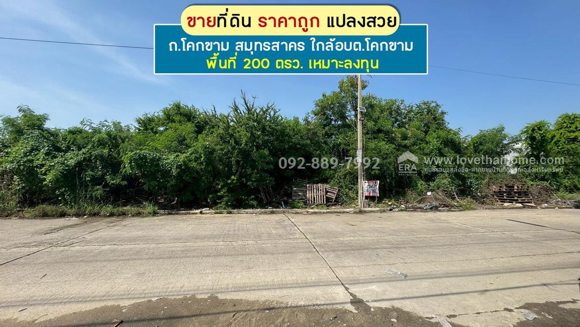 ขายที่ดิน ถนนโคกขาม สมุทรสาคร แปลงสวย พื้นที่ 200 ตรว. ราคาถูก ใกล้อบต.โคกขาม เหมาะลงทุน