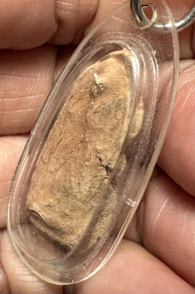 พระสีวลี องค์จ้อย ล.พ.กวย รูปย่อยที่ 4