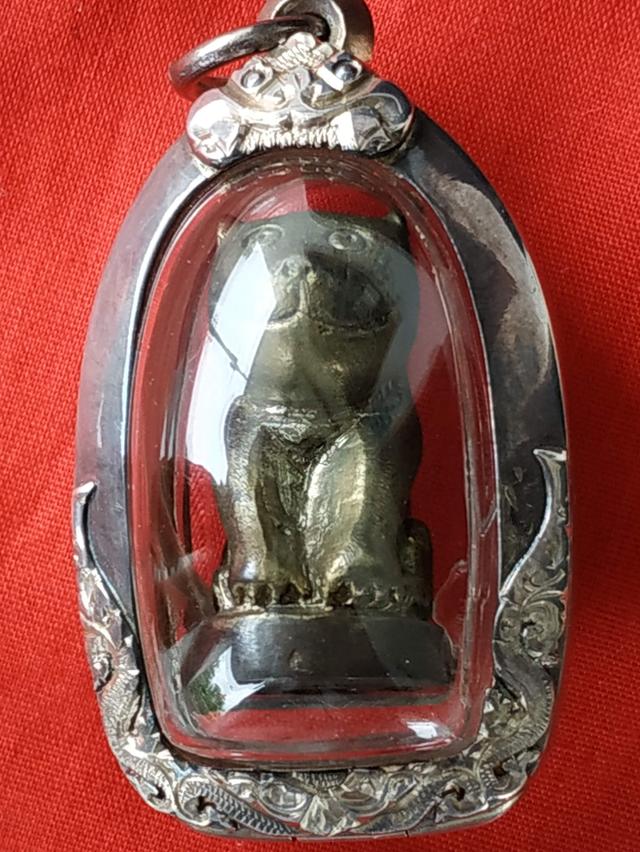 เสือหลวงพ่อปานวัดบางเหี้ย