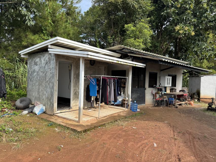 สวนทุเรียน พร้อมบ้าน 13