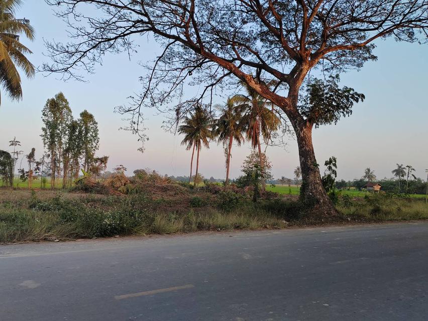 ขายที่ดินหน้ากว้าง รูปทรงชายธง ทำเลดีมาก – ต.ย่านยาว อ.เมือง จ.พิจิตร 1