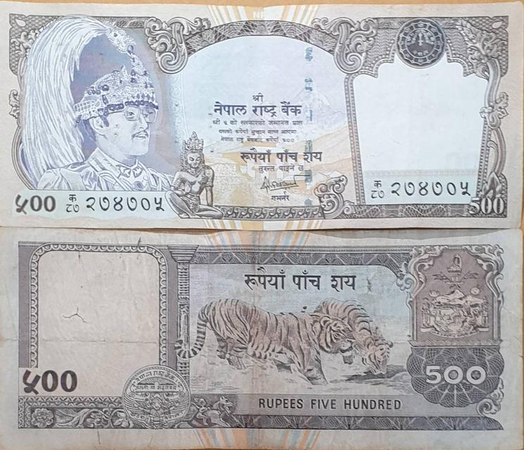 ธนบัตรชนิดราคา 500 รูปี (Rupees) "रूपैयाँ पाँच सय" ของประเทศเนปาล (Nepalese Rupee) รุ่นออกใช้ในช่วงปี ค.ศ. 1999–2000 (พ.ศ. 2542–2543)