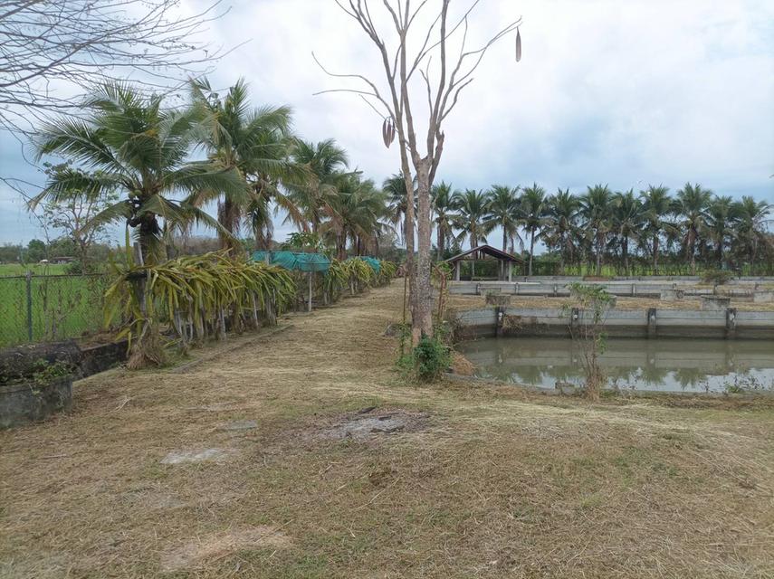 ขายบ้านพร้อมที่ดิน ต.สง่าบ้าน อ.ดอยสะเก็ด จ.เชียงใหม่ 14