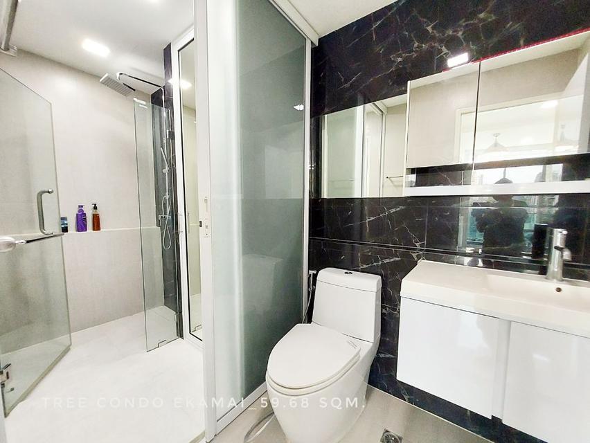 ให้เช่า คอนโด just renovated 2 bedrooms city viewTree Condo เอกมัย 60 ตรม. close to BTS Ekkamai Thonglor Sukhumvit area 6