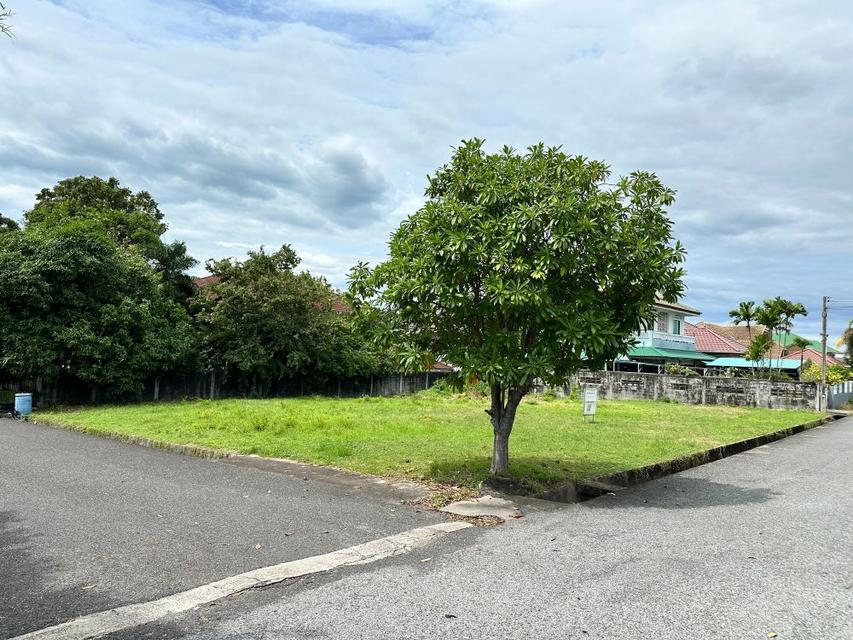 ขายที่ดินถมแล้ว ในหมู่บ้านสหกรณ์ไทยออยล์ 2 แปลง 204 ตร.วา แปลงใหญ่ ติดถนนสายหลัก ศรีราชา ชลบุรี 4