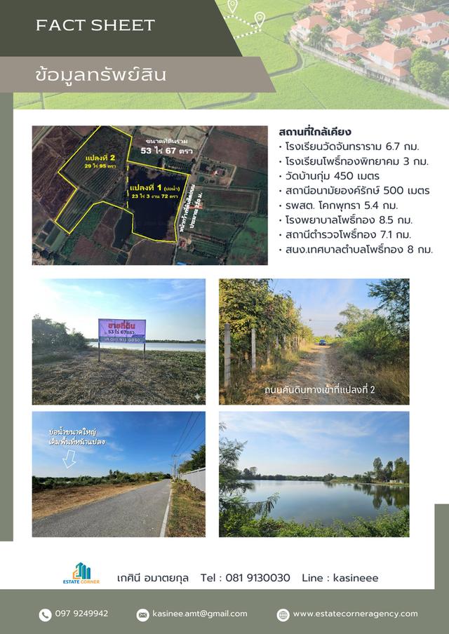 ขายที่ดินแปลงใหญ่พร้อมบ่อน้ำ 53 ไร่ ติดถนน (ใกล้ถนน 3064) ต.โคกพุทรา อ.โพธิ์ทอง จ.อ่างทอง โฉนดพร้อมโอนทันที เหมาะสำหรับ ทำฟาร์ม เกษตรกรรม 3