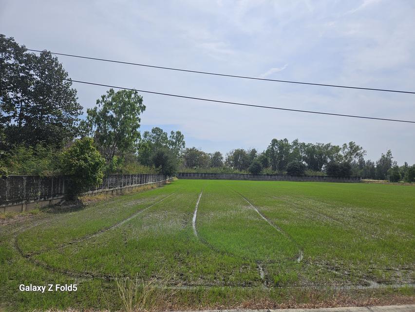 ขายที่ดินสำหรับปลูกบ้านที่ตำบลบ้านแป้งใกล้พระราชวังบางปะอินจังหวัดพระนครศรีอยุธยา 6