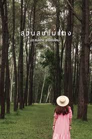 ทริปเชียงใหม่ แอ่วเมืองคอง ห้วยกุ๊บกั๊บ รูปที่ 5