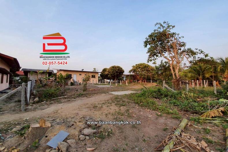 ที่ดินเปล่า  6