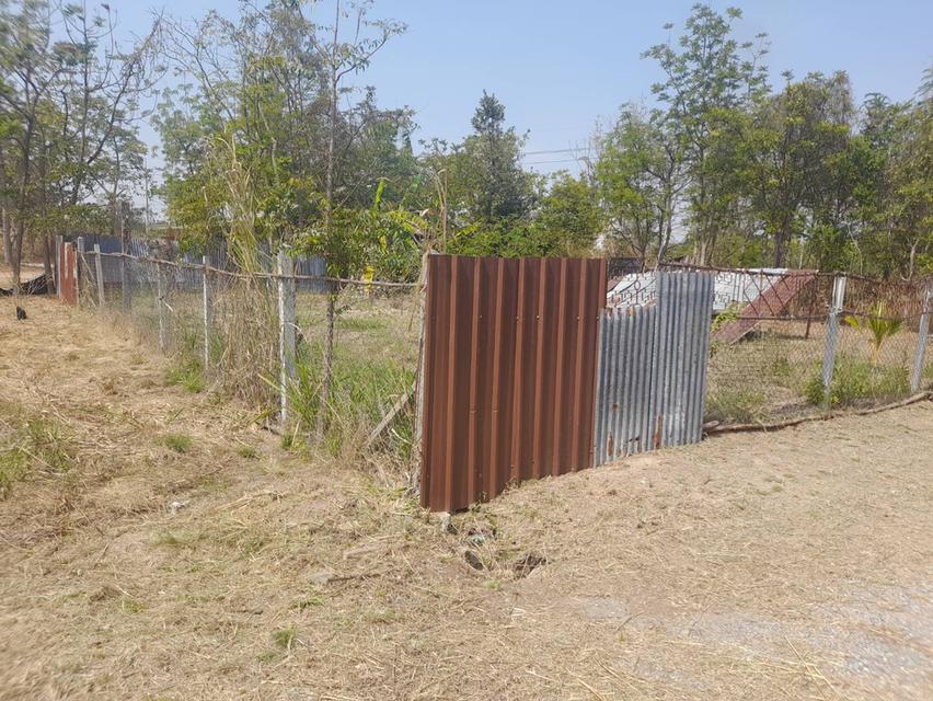 ขายด่วนที่ดิน 101 ตรว โฉนดครุฑแดง ติดถนนวงแหวนรอบเมืองโคราช  #ราคา 750,0000 บาท เท่านั้น #ขายต่ำกว่าราคาประเมิน จุดเด่น  1.ห่างถนนวงแหวนรอบเมืองโครา 2