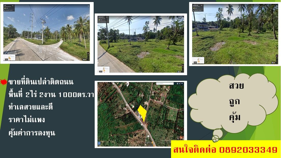 ขายที่ดินเปล่า แปลงสวยๆ บนเกาะสมุย ขนาด2ไร่2งาน1000ตร.วา ติดถนน สวย ราคาไม่เเพง คุ้มค่าการลงทุน 1