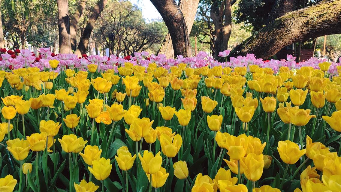 #ทัวร์เชียงรายปีใหม่ 3 ที่สุดท้าย