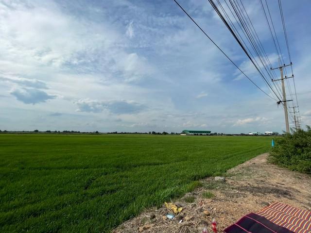 ขายทำเลดีและพื้นที่ที่ดินสวยมาก  ต.บางพระขาว อ.บางบาล จ.พระนครศรีอยุธยา 2
