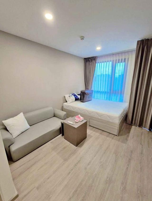 Brompton pet friendly Samrong 2