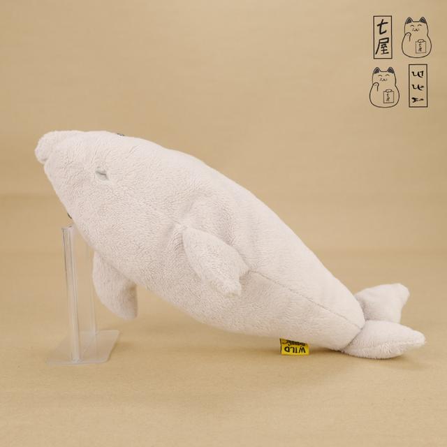 ตุ๊กตา【 สัตว์ทะเล แห่งอ่าวโตเกียว 🐬 Gray Dolphin・ปลาโลมาสีเทา】21 cm Wild Republic Plush・CuddleKins รูปที่ 6