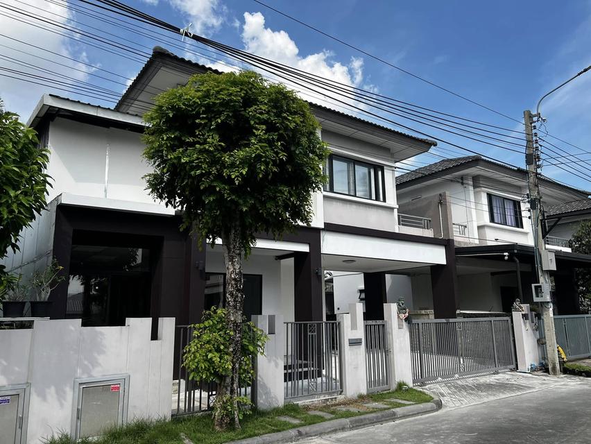 Atoll Java Bay : เอโทล จาวา เบย์ กิ่งแก้ว 19 2