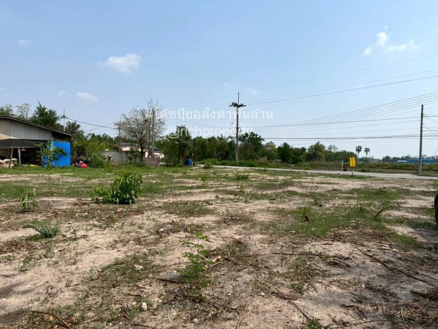 ขาย ที่ดิน ME327 แปลงเล็ก ทำเลดี ที่สูง หนองขยาด พนัสนิคม ชลบุรี . 3 ไร่ 3 งาน 71 ตรว เหมาะสร้างบ้าน บ้านจัดสรร โกดัง คล 5
