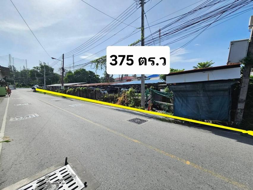ขายที่ดินสวยมาก ติดถนนสุขุมวิท บางทราย ชลบุรี 6