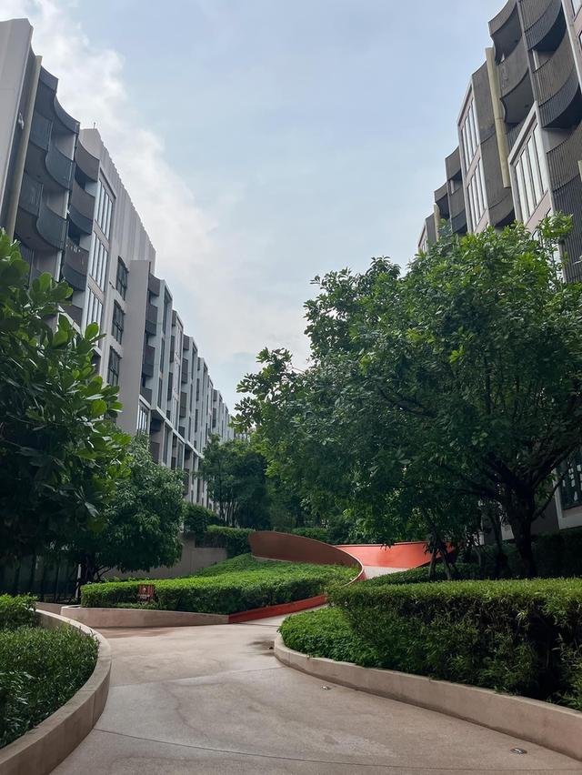 [ขายพร้อมผู้เช่า] Kawa Haus by Sansiri (คาวะ เฮ้าส์) Resort Style Condo🏡 19