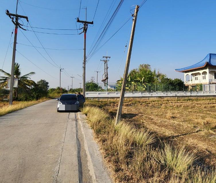 ขายที่ดินวังตะเคียน 53 ไร่ ซอยหลังแม็คโคร ติดคลอง ใกล้ถ.สุวินทวงศ์304-1กม. อ.เมืองฉะเชิงเทรา