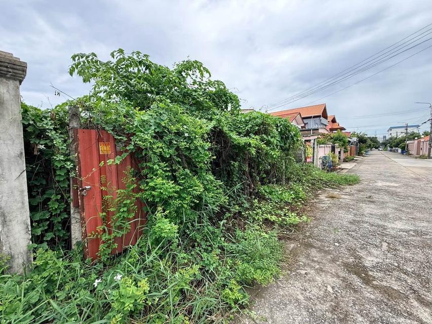 ขายด่วนที่ดินนวมินทร์ 60 ตรว ติดถนนสาธารณะ ถมแล้ว+ล้อมลวดหนาม ซ.นวมินทร์ 163 แยก13-4 บางกะปิ กทม. 7
